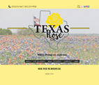 Travis J Consulting